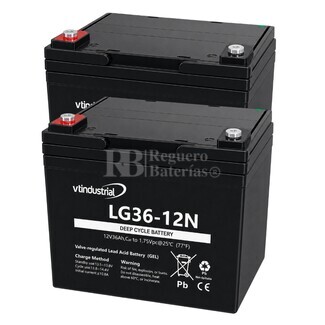 2 Baterias Scooter LG36-12N Movilidad  | GEL 12 Voltios 36 Amperios VT